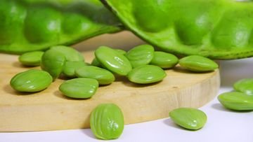 TOPINDIATOURS Eksklusif kesehatan: Makan Petai Bikin Ginjal Rusak? Begini Penjelasan Dokte