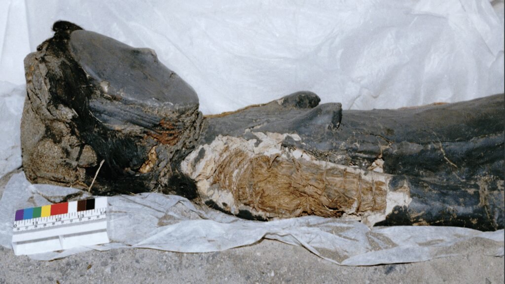 TOPINDIATOURS Breaking ai: 7,000-year-old Chinchorro mummies represent a culture that turn