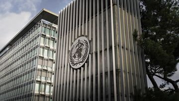 TOPINDIATOURS Update kesehatan: WHO Cabut Status Bebas Campak Inggris usai Catat Lonjakan