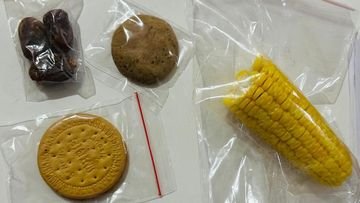 TOPINDIATOURS Update kesehatan: Ramai BGN Larang-Pidanakan yang Unggah Foto Menu MBG Jelek